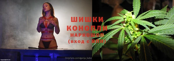 МДПВ Гусев