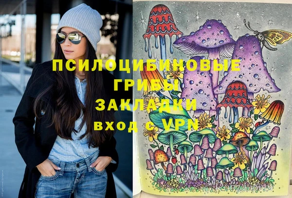 МДПВ Гусев