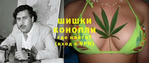МДПВ Гусев
